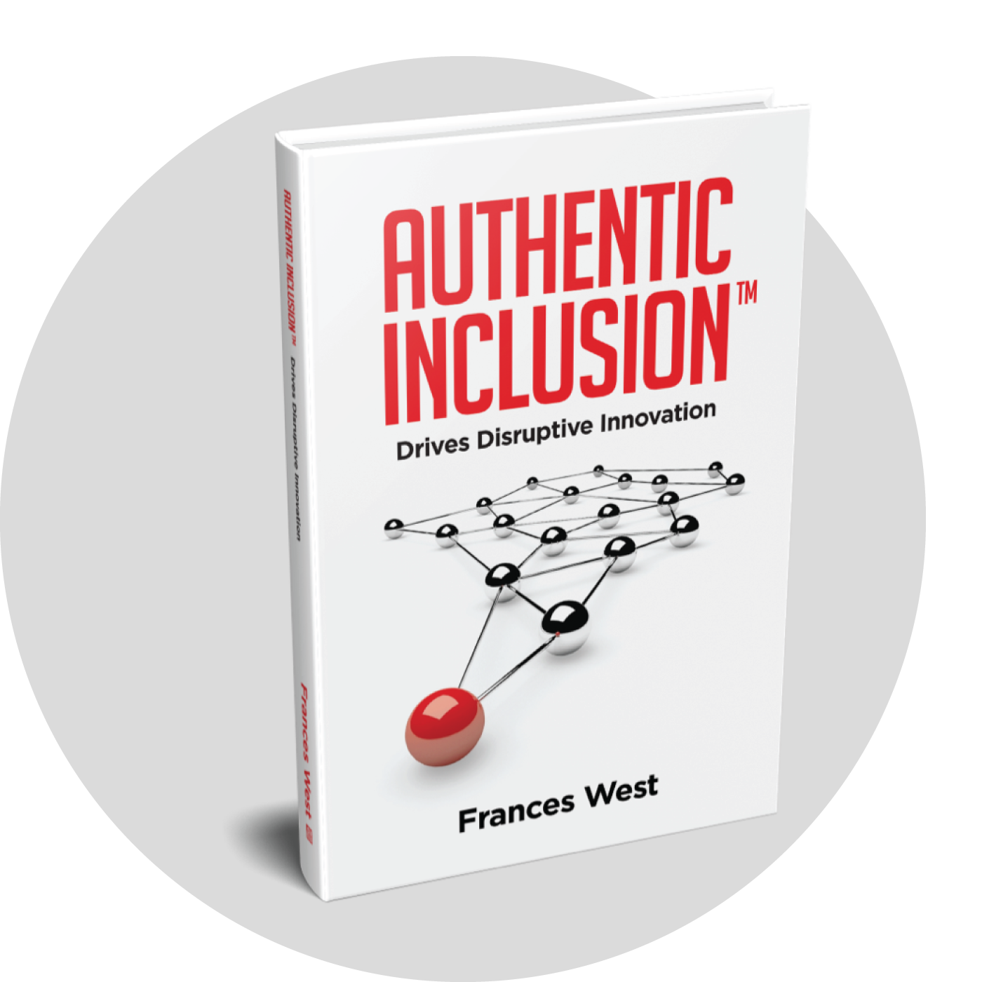 authentic inclusion book cover